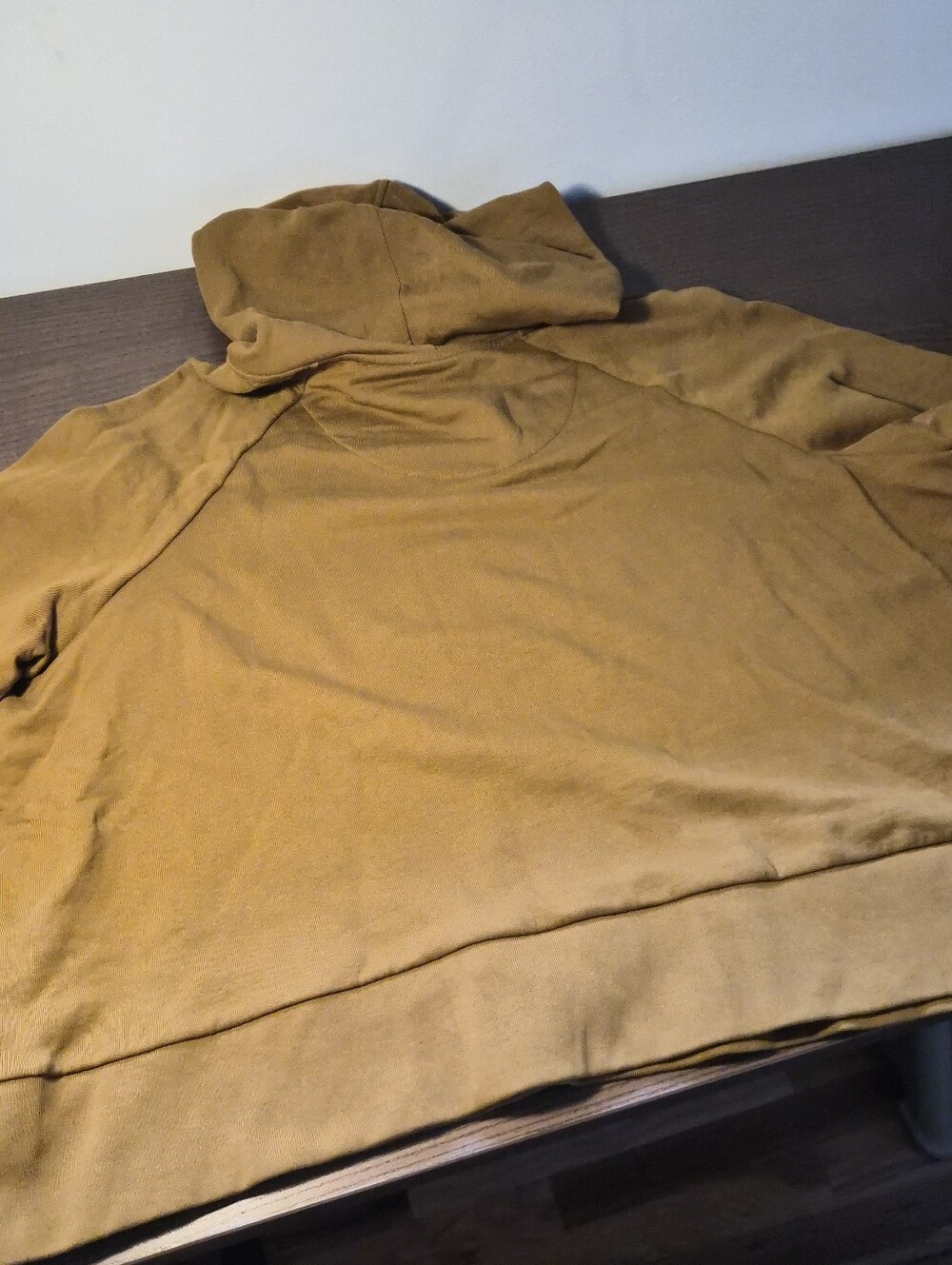 Patagonia 100% Cotton Women's Boxy Essential Hoodie in Shelter Brown - Picture 6 of 6